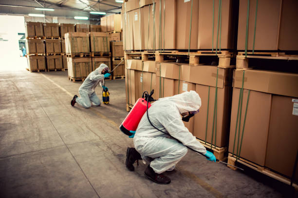 Best Rat Extermination Near Me  in Gold Bar, WA