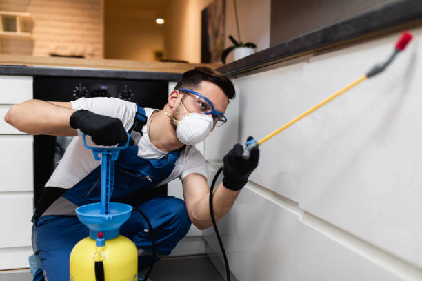 Best Flea Control Services  in Gold Bar, WA